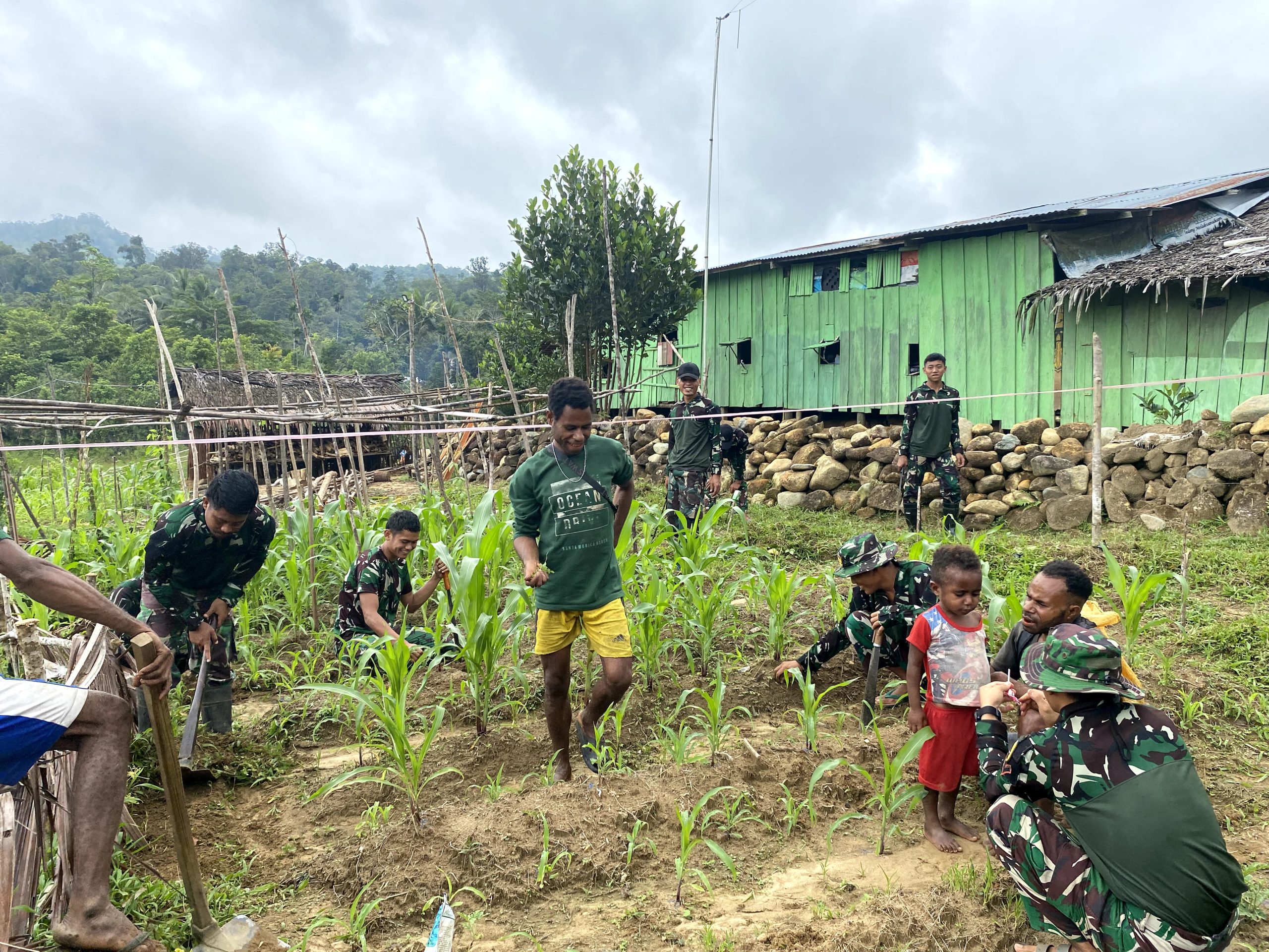Perkuat Ketahanan Pangan, Satgas Yonif 512 QY Kompak  Bersama Masyarakat Tanam Jagung.