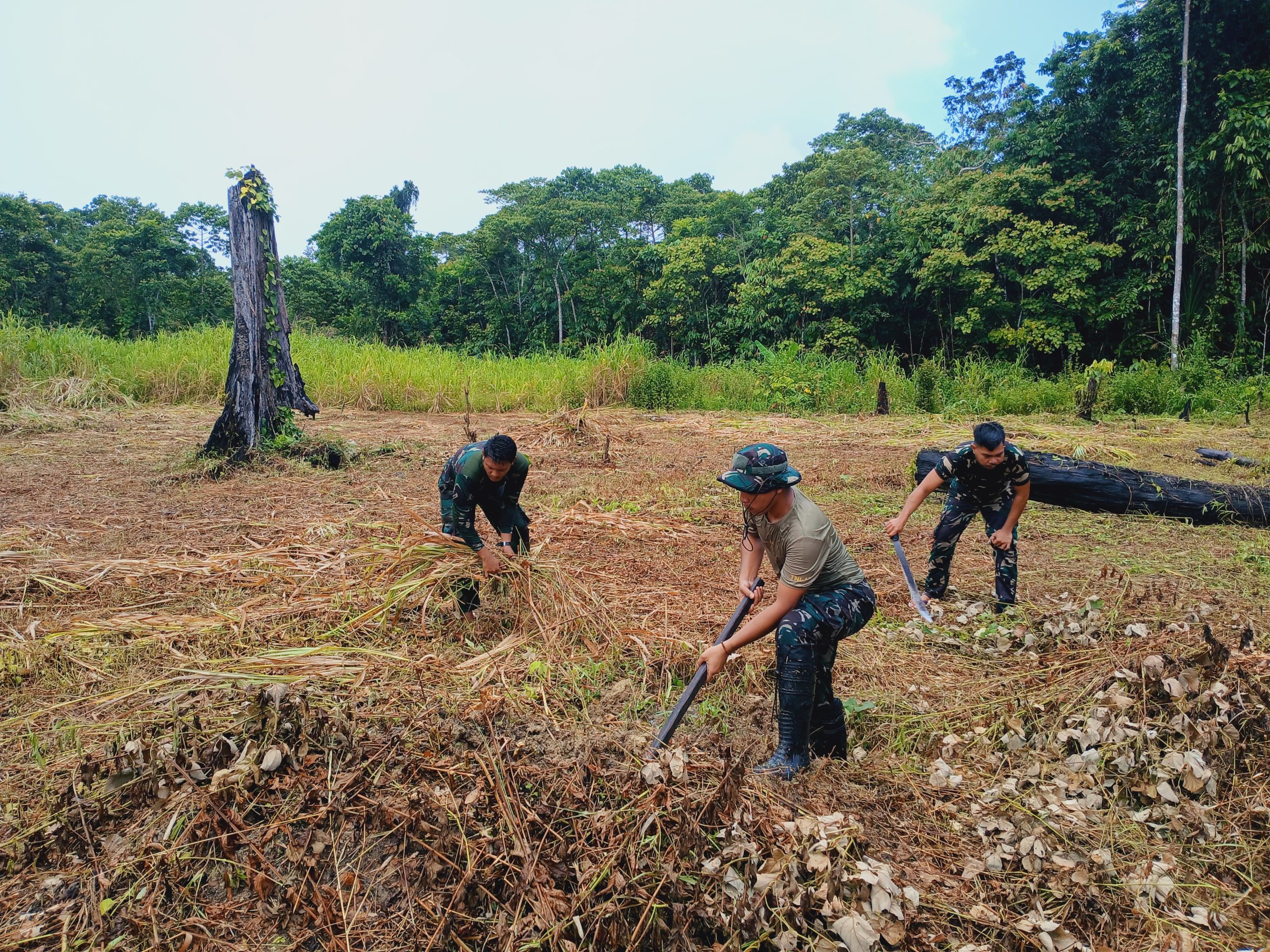 Buka Lahan Ketahanan Pangan, Satgas Yonif 512 QY Bersama Masyarakat Bompai Dukung Program Pemerintah.