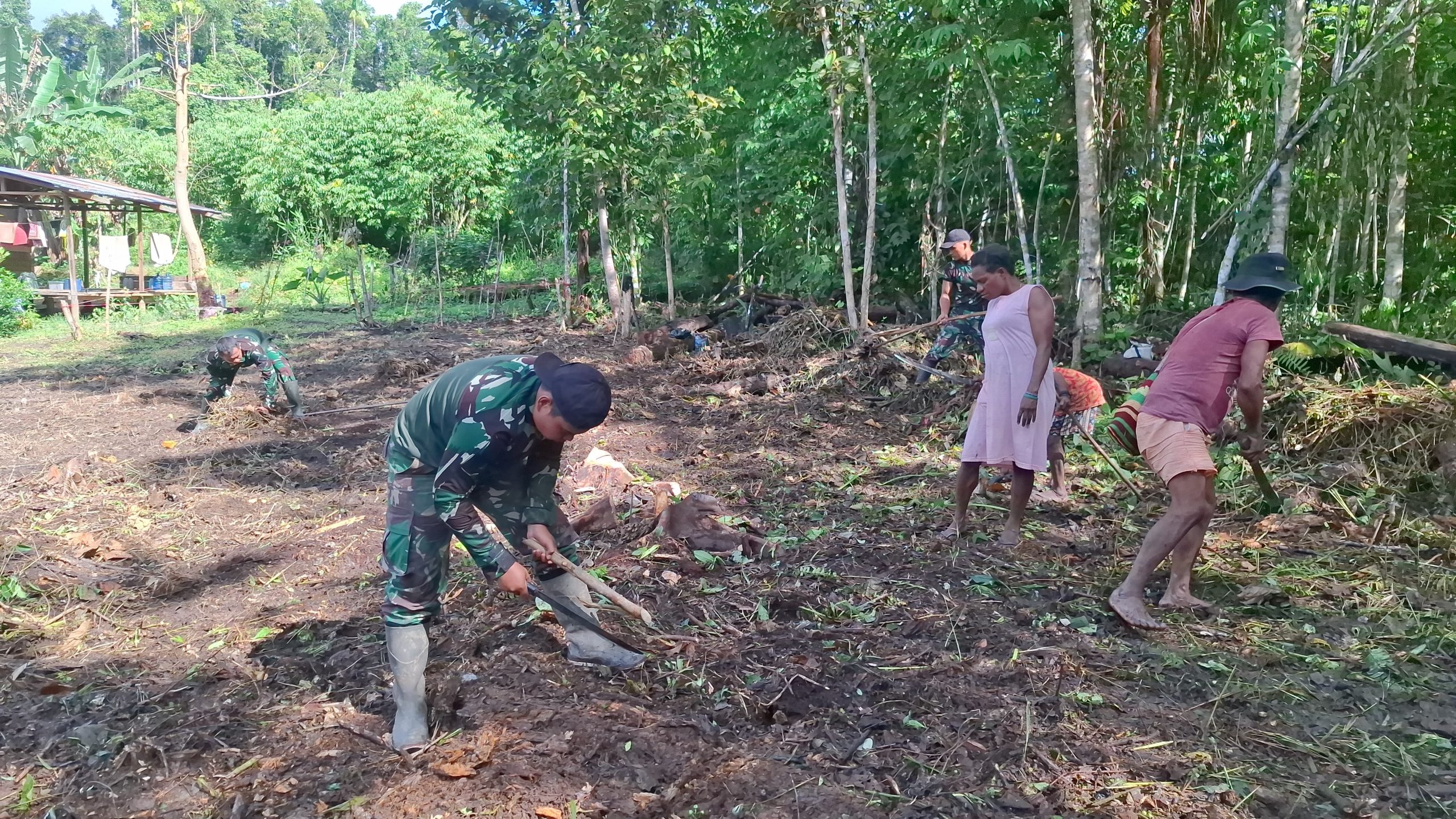 Bersama Menanam Harapan, Satgas Yonif 512 QY dan Warga Unggalom Buka Lahan Ketahanan Pangan.