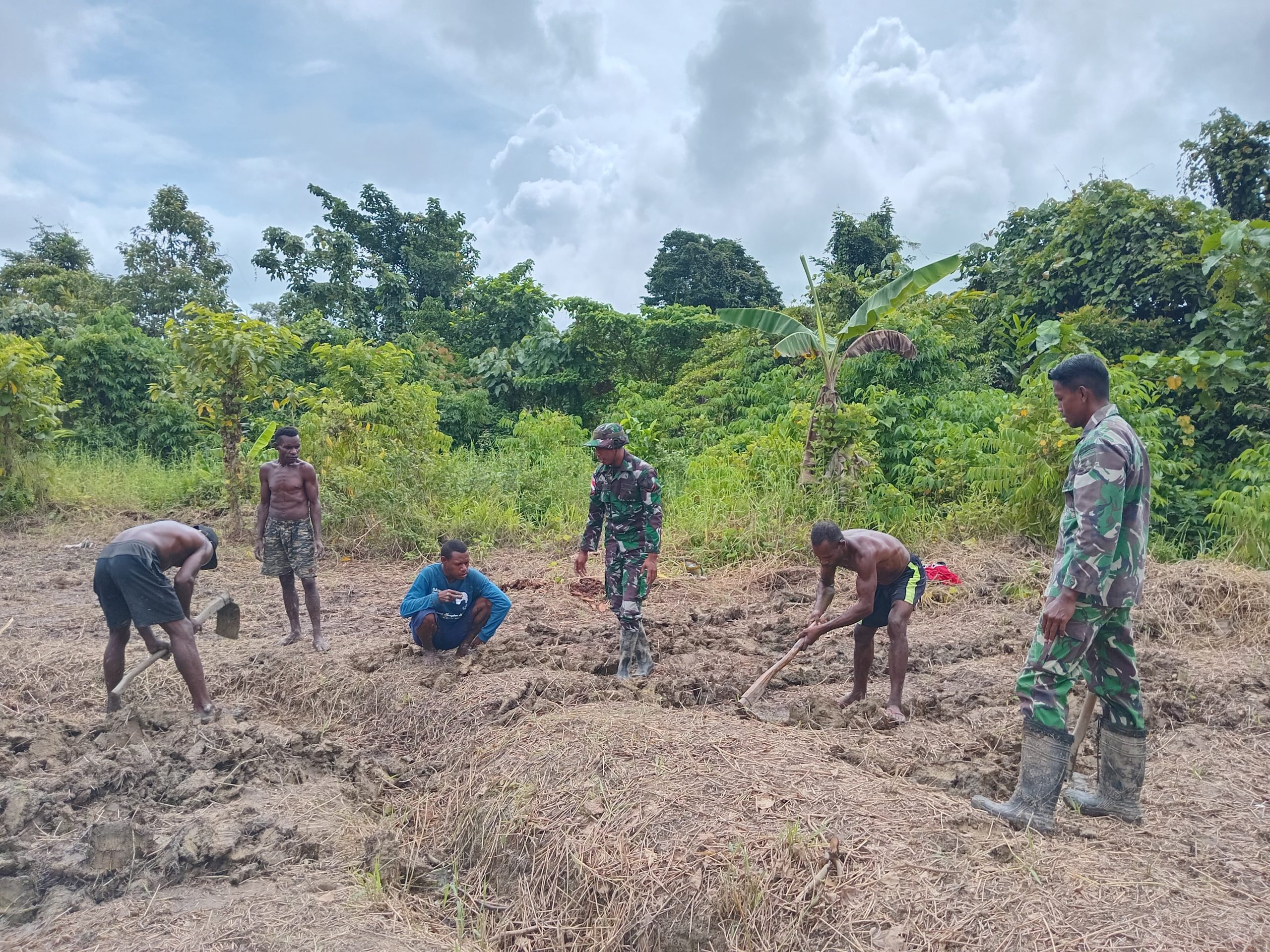 Garap Lahan Jagung Untuk Ketahanan Pangan, Satgas Yonif 512 QY Gandeng Masyarakat di Kampung Yuwainda.