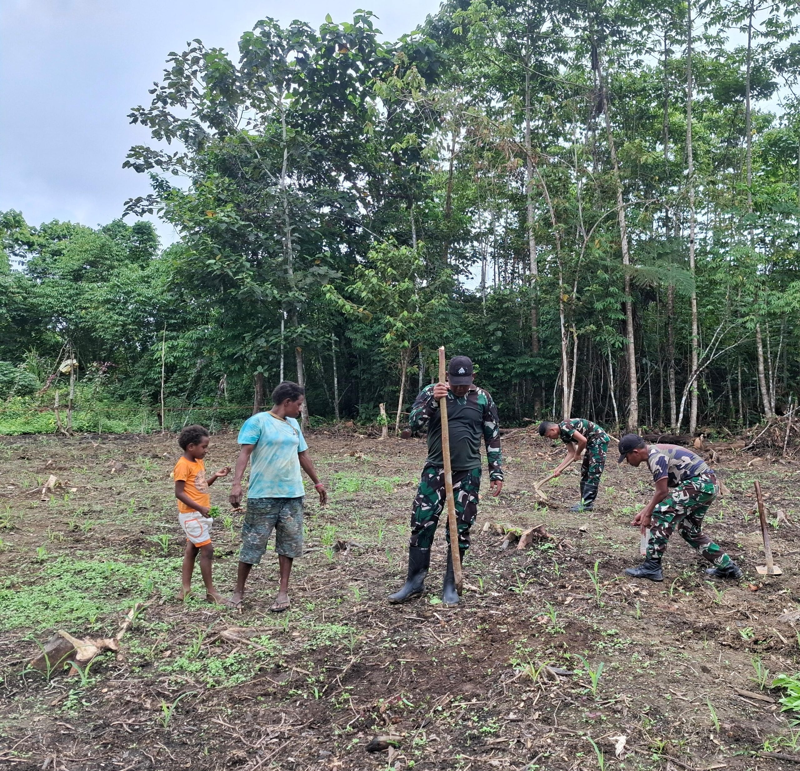 Tanam Jagung Bersama Warga di Kampung Unggalom, Wujud Nyata Ketahanan Pangan di Perbatasan