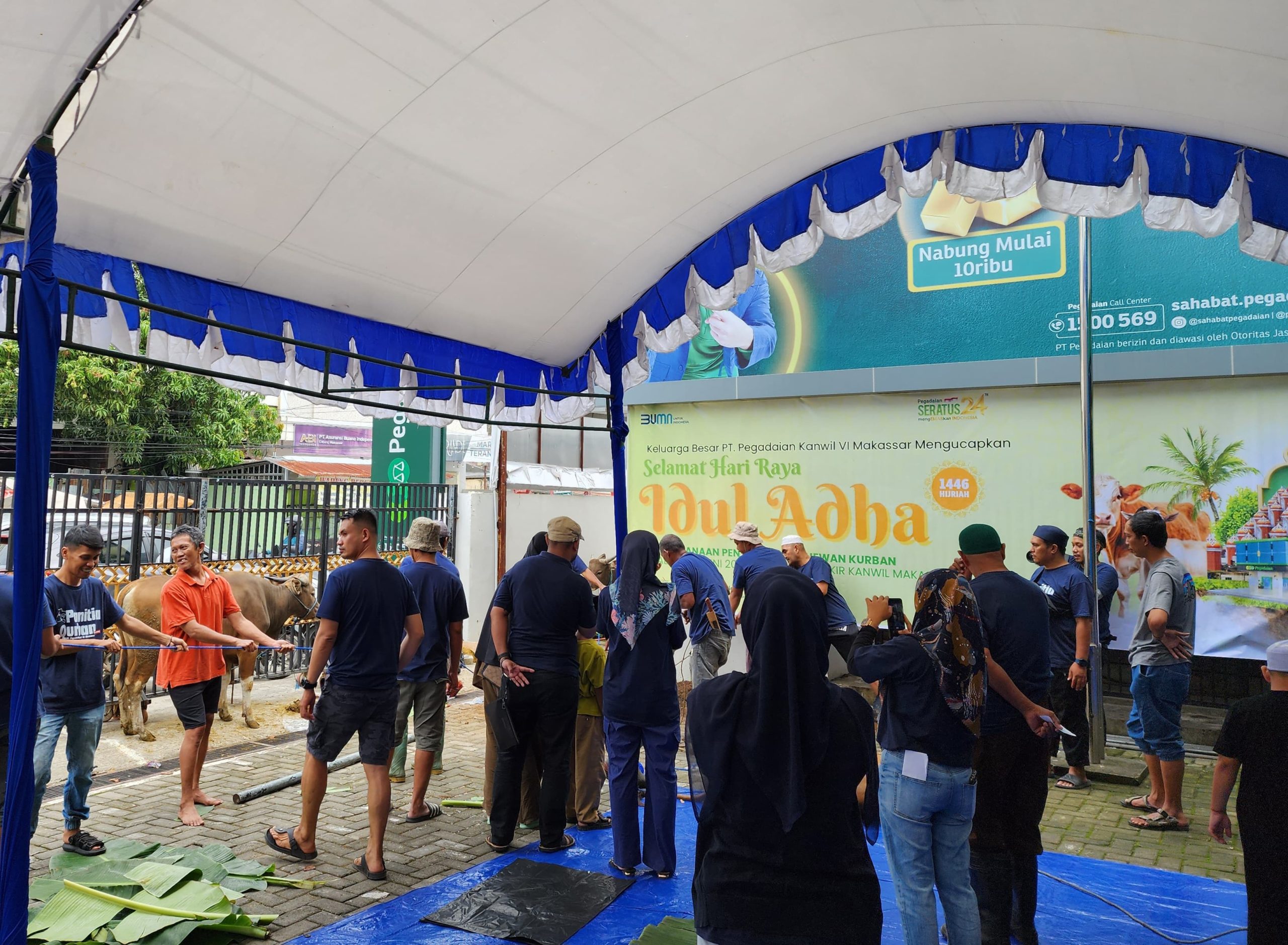 Pegadaian Kanwil Makassar Salurkan 80 Ekor Hewan Qurban, Wujud Kepedulian di Hari Raya Idul Adha 1446 H