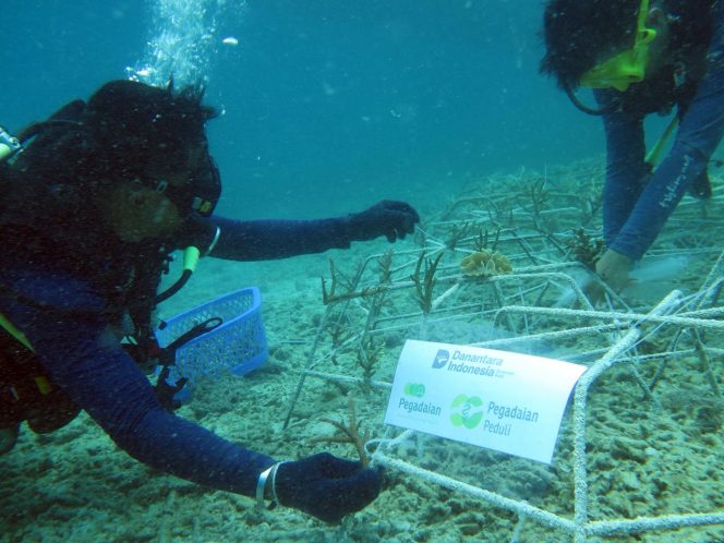 
					PT Pegadaian Kanwil VI Makassar Gelar Rehabilitasi dan Transplantasi Karang di Pulau Barrang Lompo