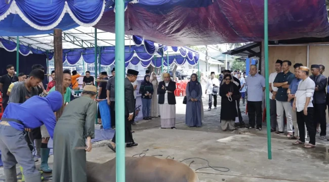IMG-20260527-WA0029(1)